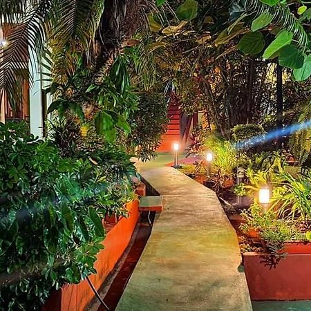 Hospedaje Jose Gorgues Пуэрто-Игуасу Экстерьер фото